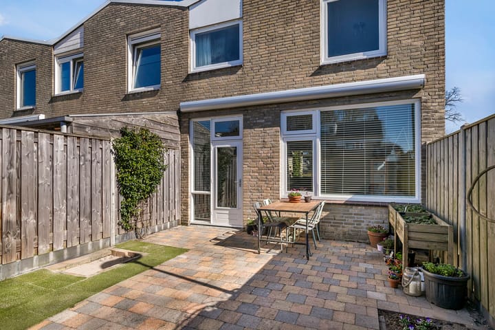 Foto 2 van Molenijzer 1