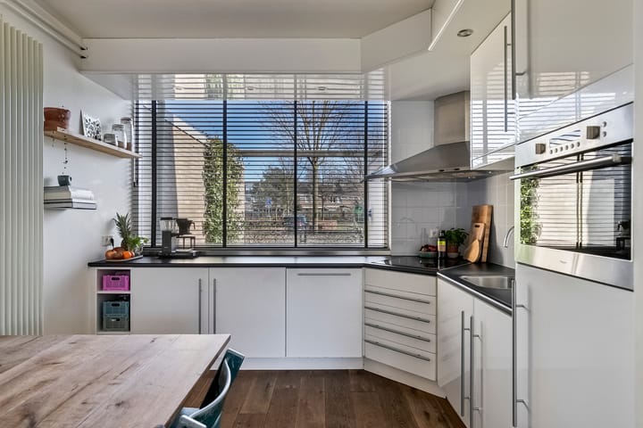 Foto 4 van Molenijzer 1