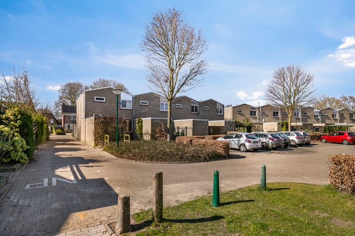 Foto 5 van Molenijzer 1