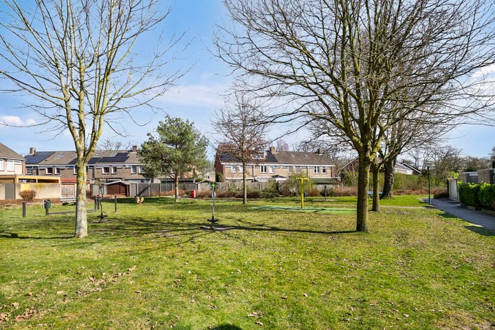 Foto 6 van Molenijzer 1