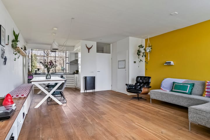 Foto 11 van Molenijzer 1