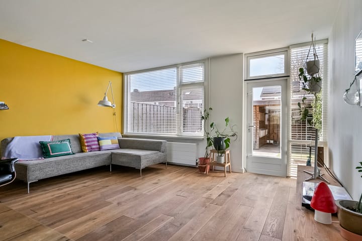 Foto 12 van Molenijzer 1