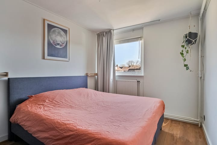 Foto 19 van Molenijzer 1