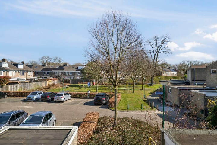 Foto 26 van Molenijzer 1