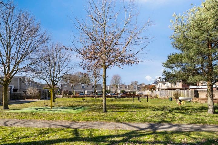 Foto 35 van Molenijzer 1