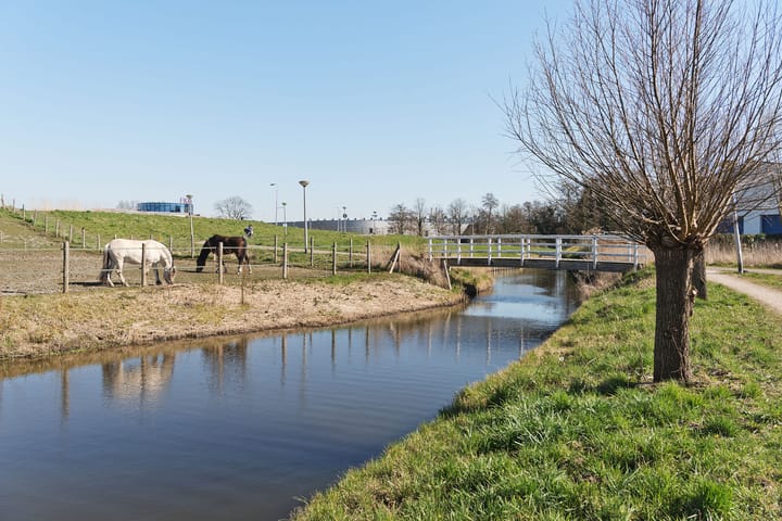 Foto 21 van Hugo de Vriesstraat 92