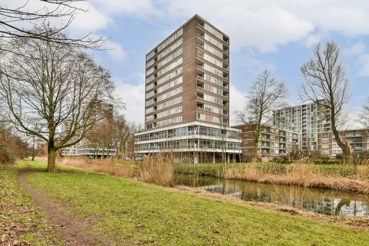 Foto 2 van Maassluisstraat 362