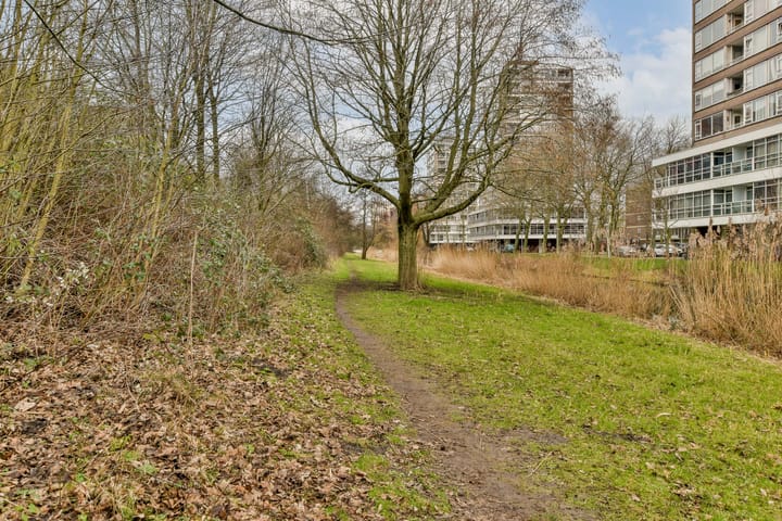 Foto 25 van Maassluisstraat 362