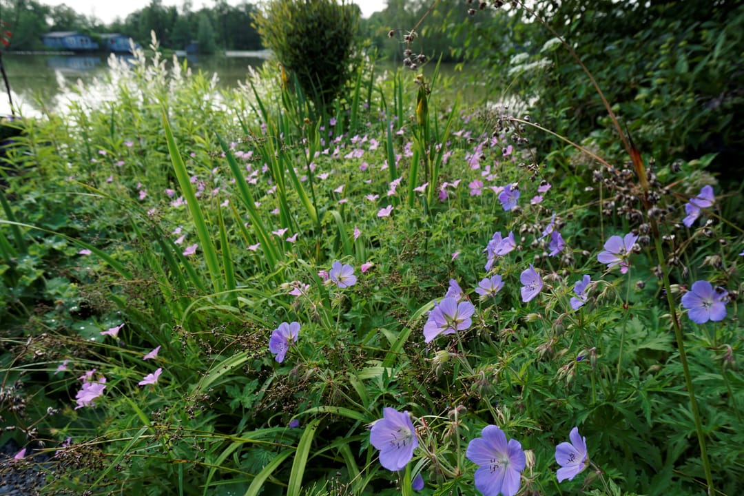 Photo 23 of Weperpolder 33-A47