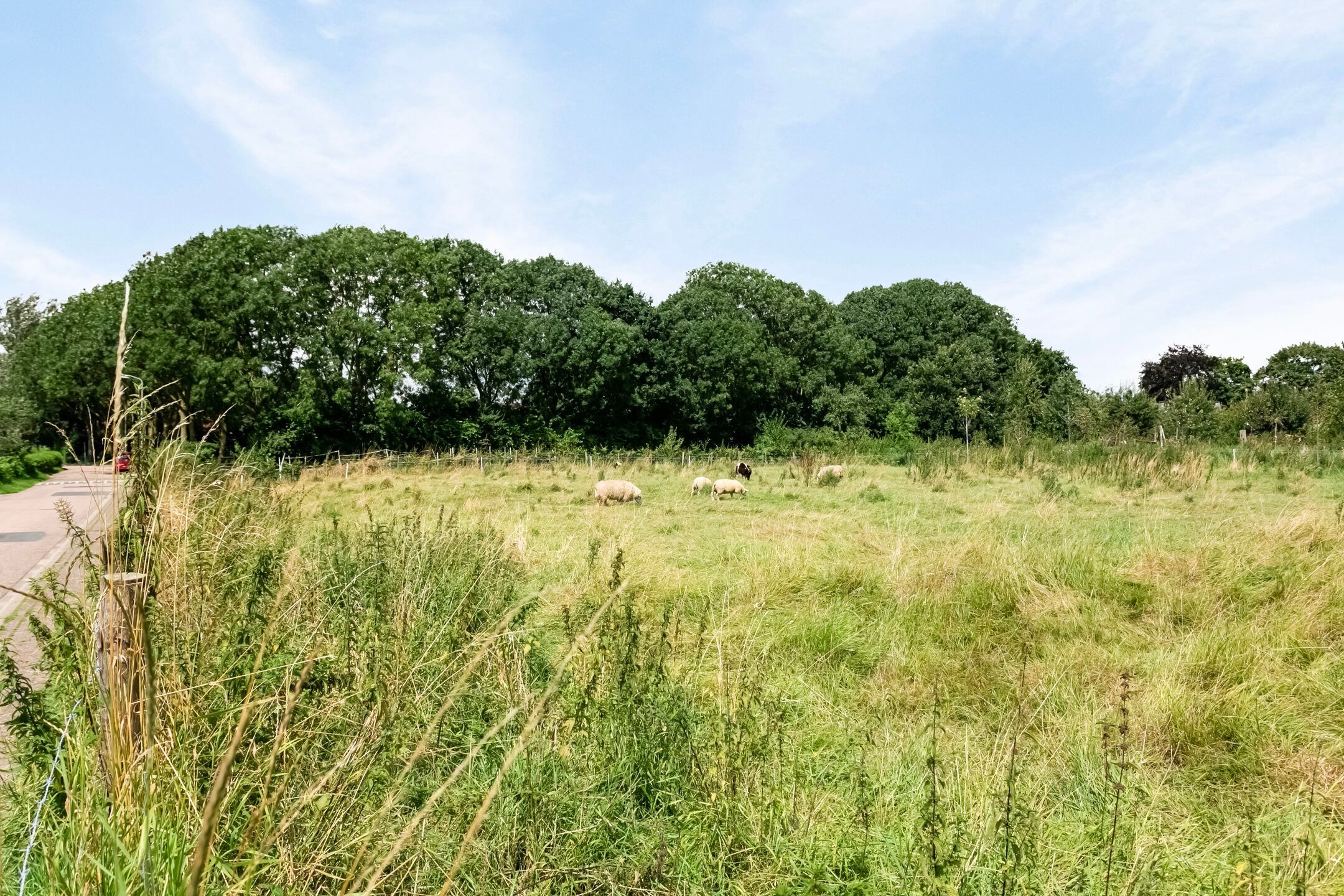 Foto 48 van Prins Willem-Alexanderstraat 25