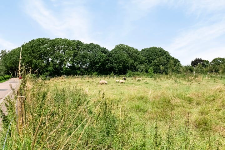 Foto 48 van Prins Willem-Alexanderstraat 25