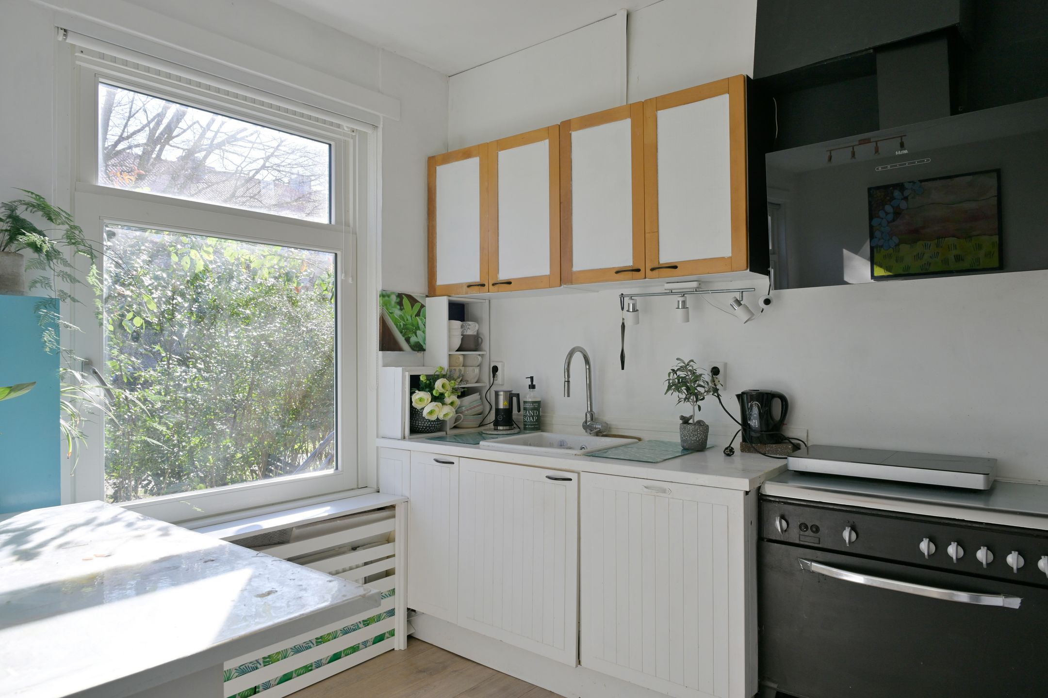 Foto 9 van Carel van Nieveltstraat 22-A