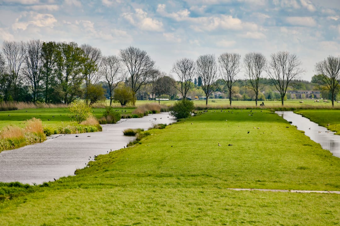 Foto 38 van Kromme Mijdrecht 13