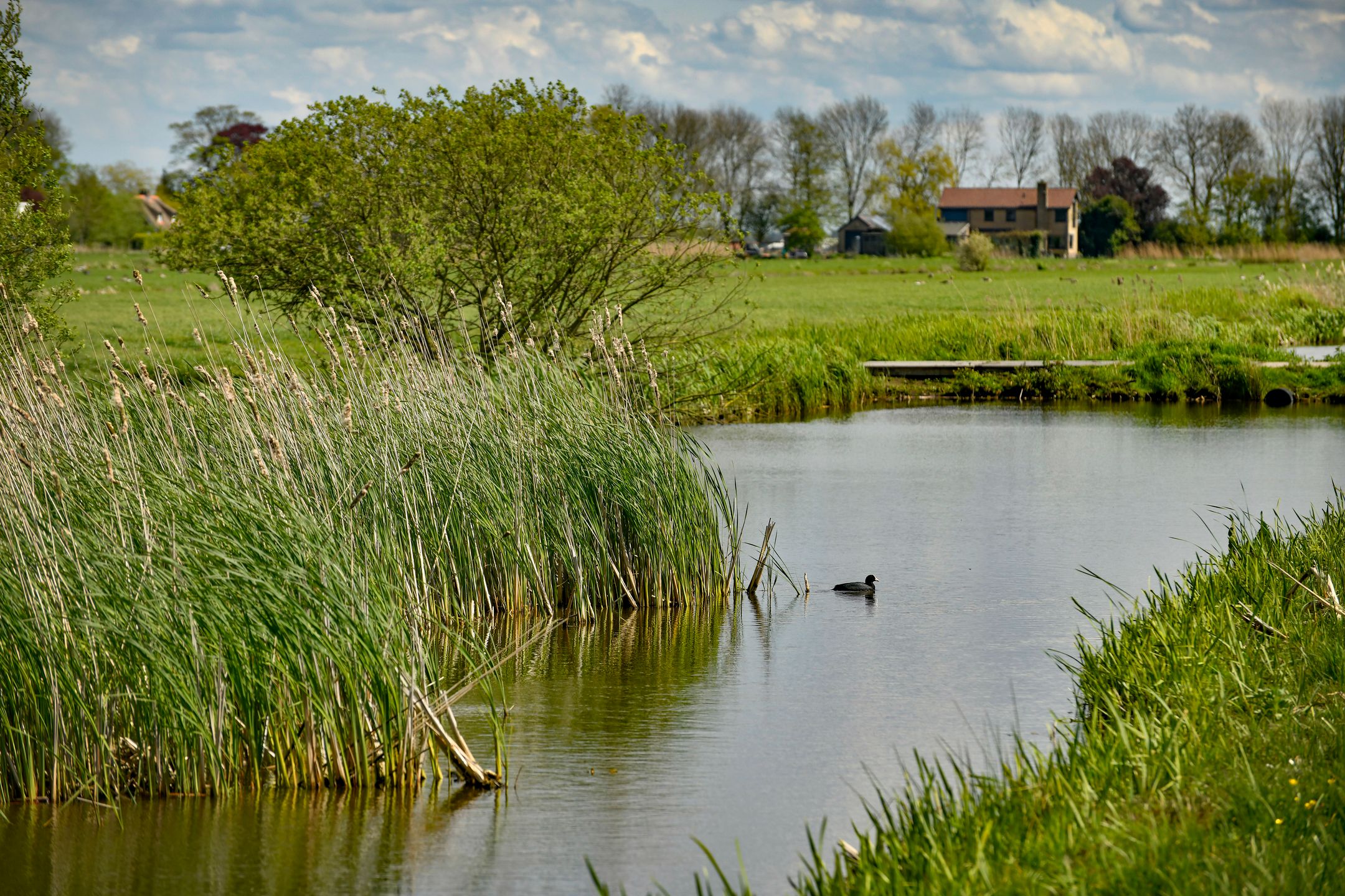 Foto 39 van Kromme Mijdrecht 13