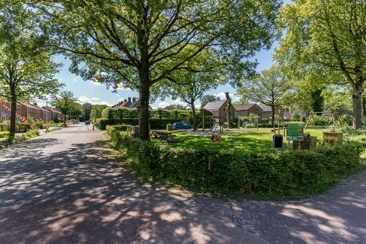 Foto 6 van Nije Buorren 20