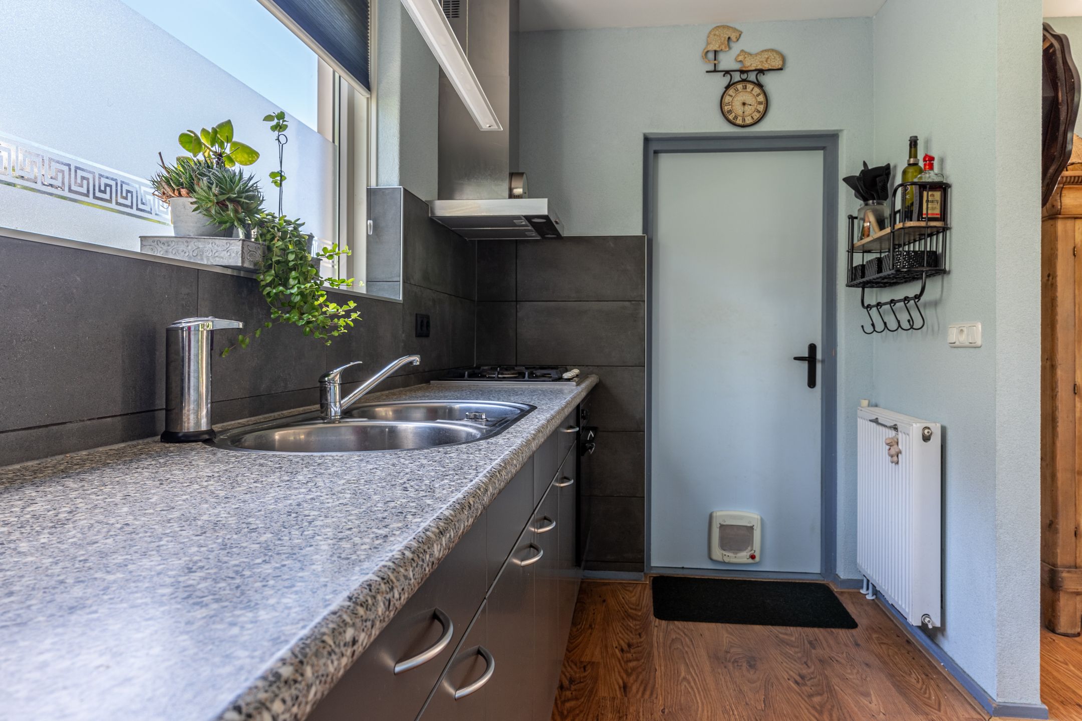 Foto 21 van Nije Buorren 20