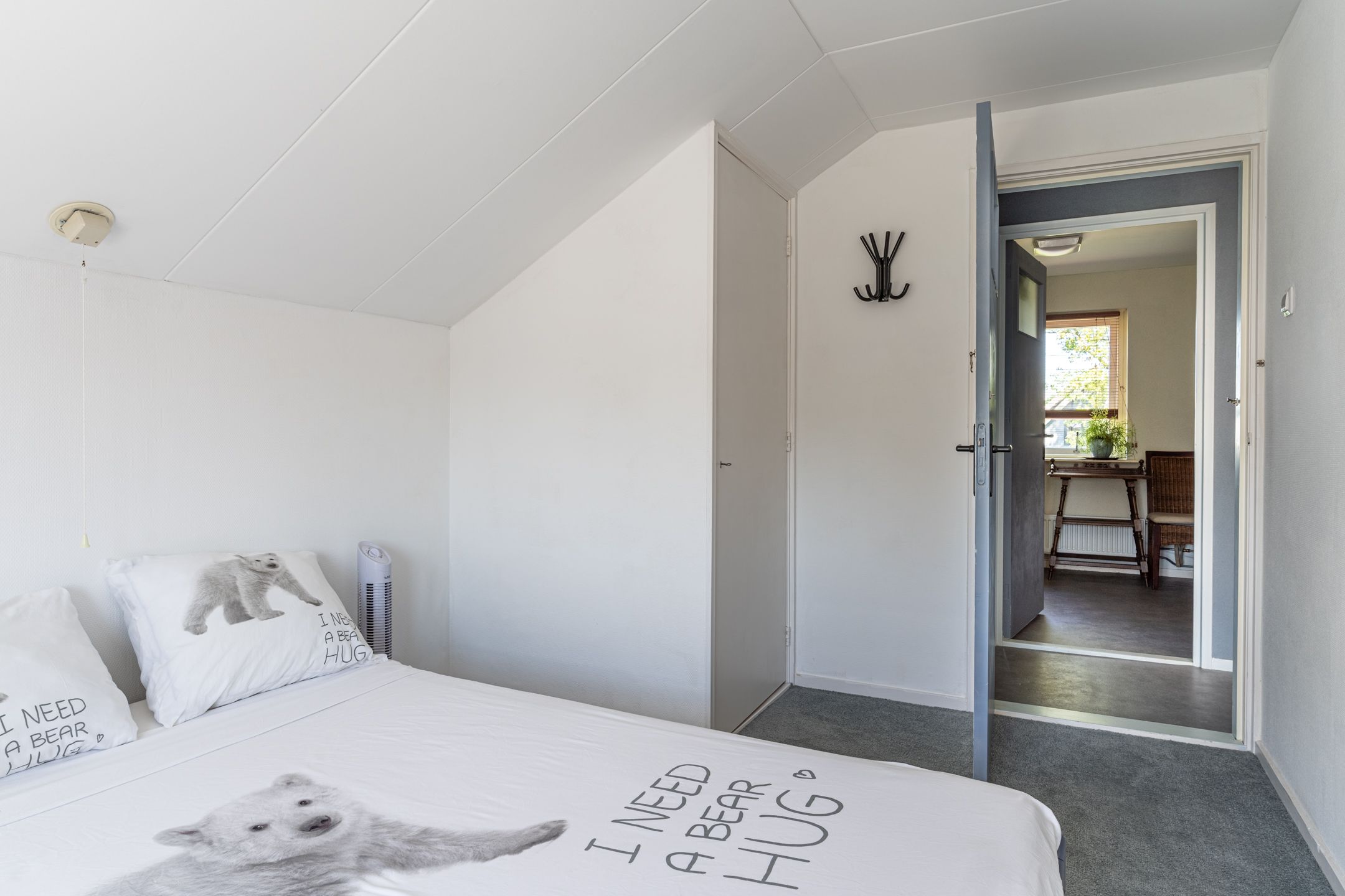 Foto 30 van Nije Buorren 20