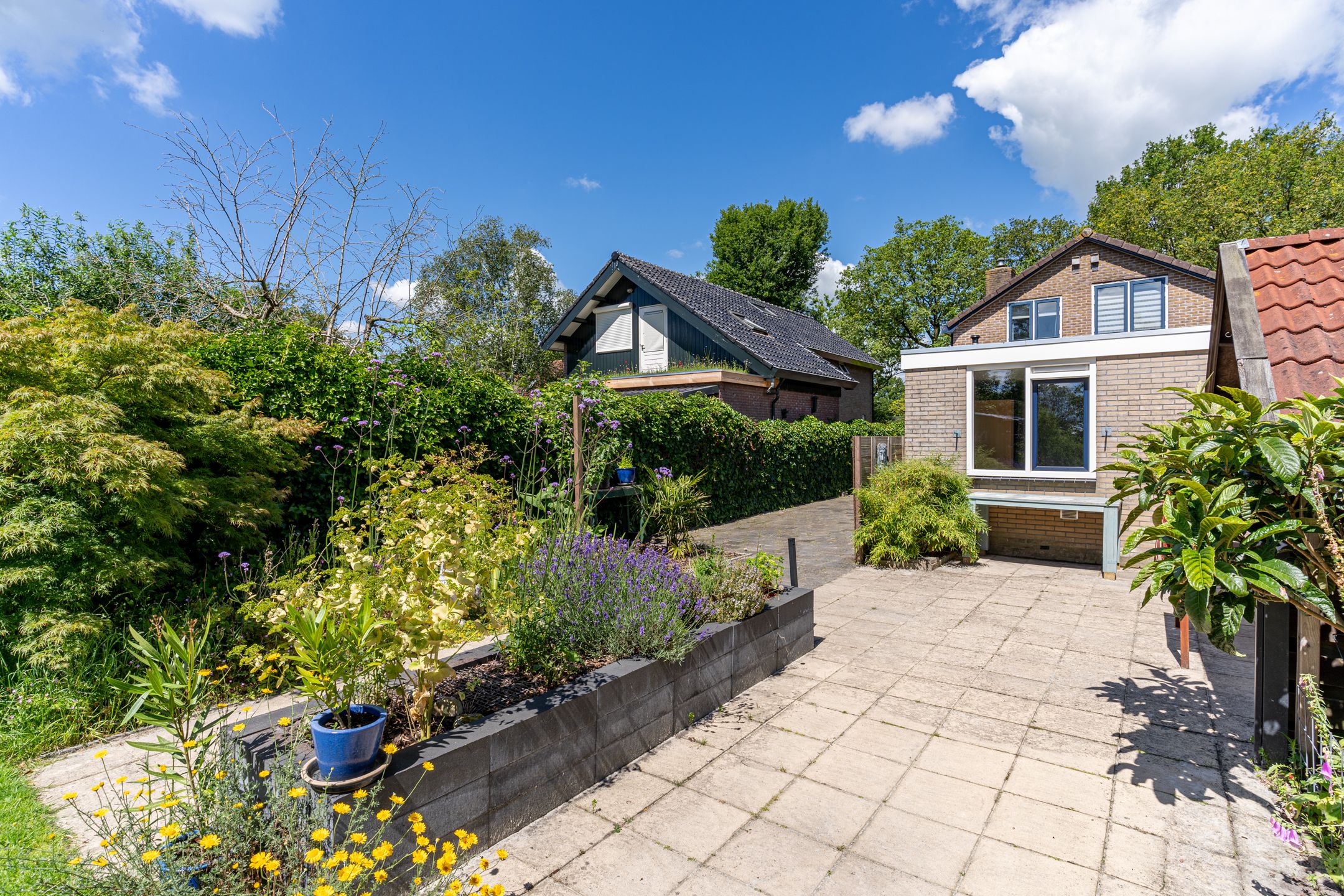 Foto 42 van Nije Buorren 20