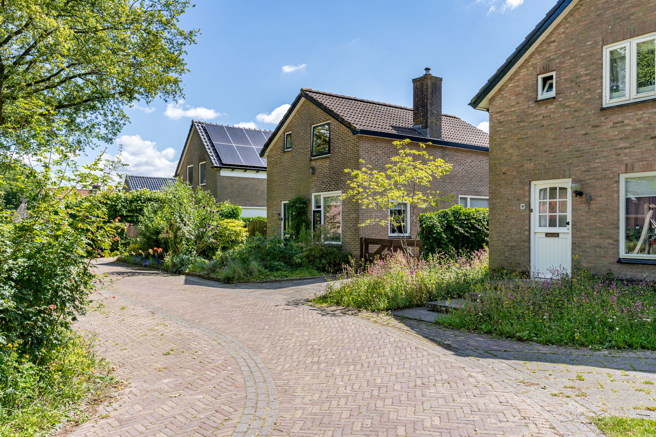 Foto 48 van Nije Buorren 20