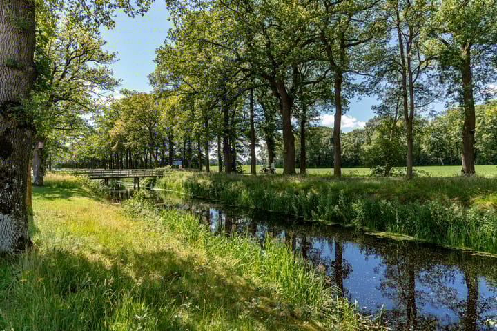 Foto 56 van Nije Buorren 20