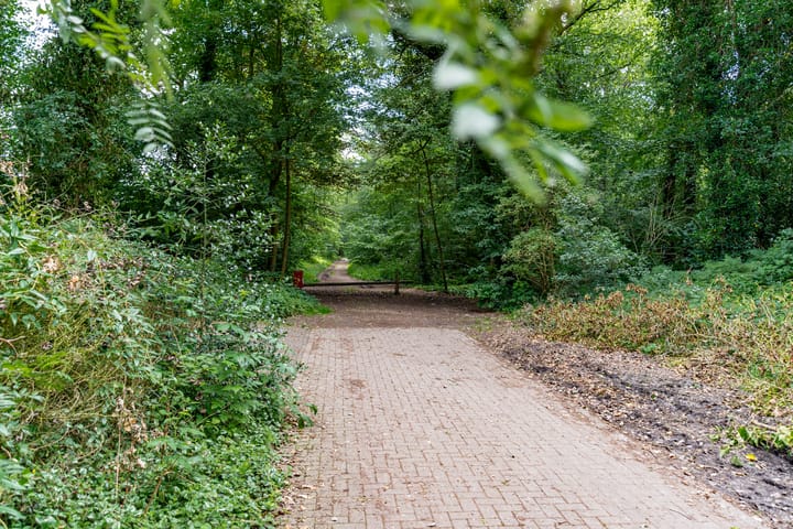 Foto 57 van Nije Buorren 20