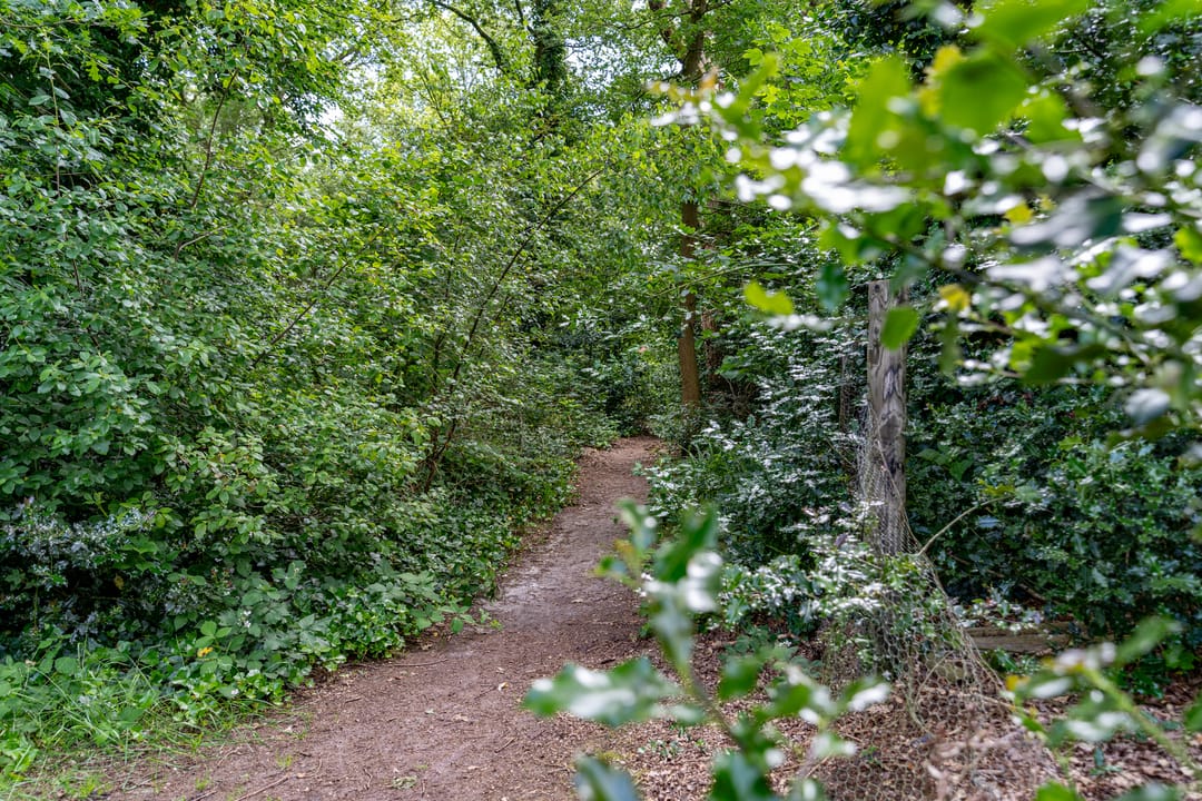 Foto 58 van Nije Buorren 20