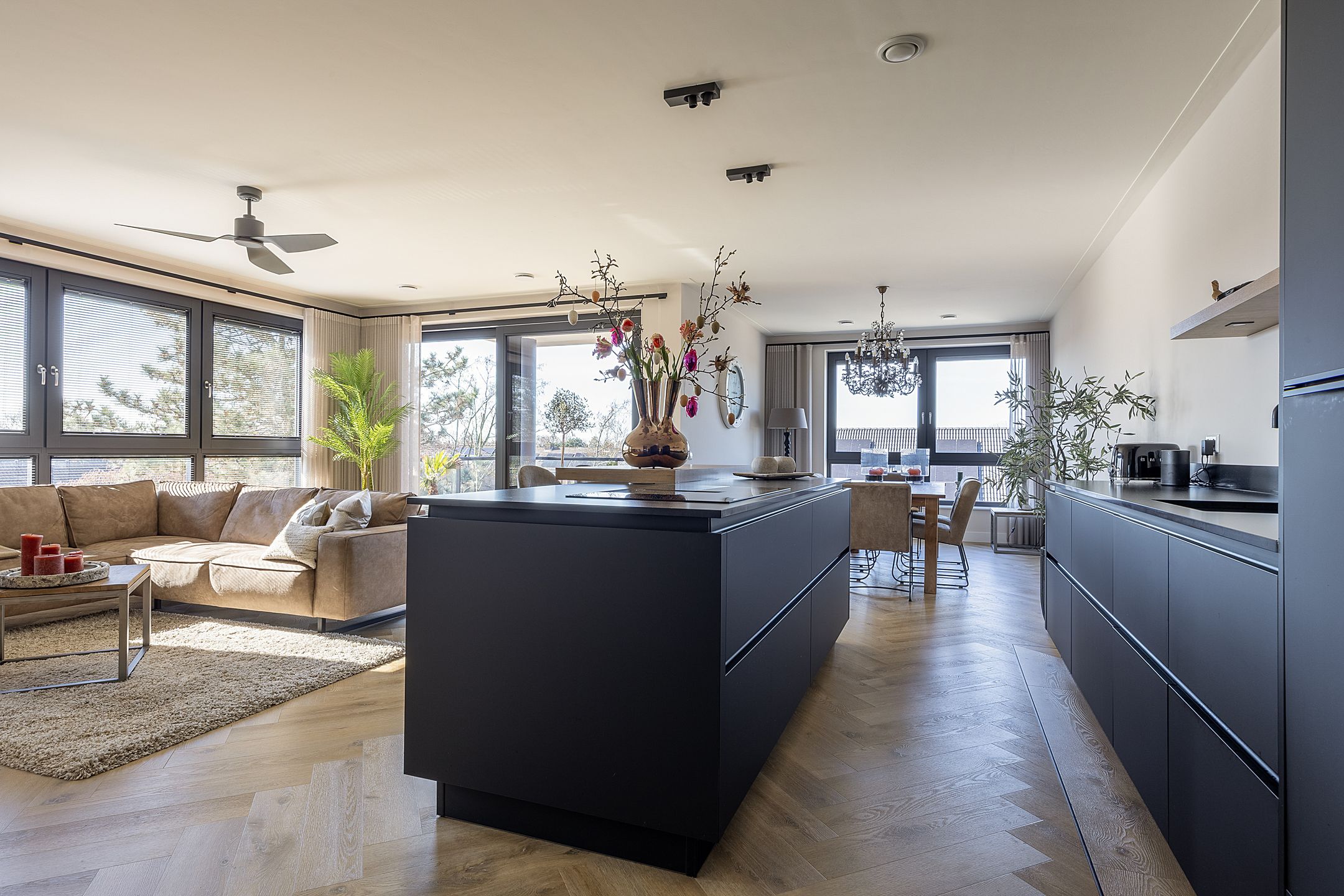 Foto 15 van De Zanderijen 58