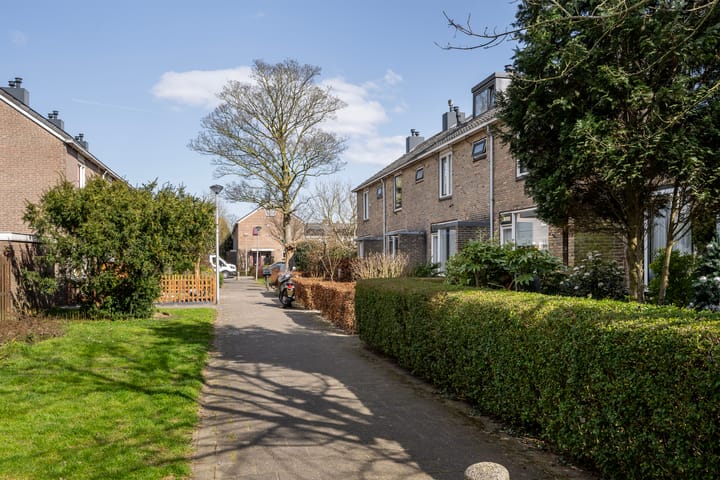 Foto 2 van Koninginnepad 20