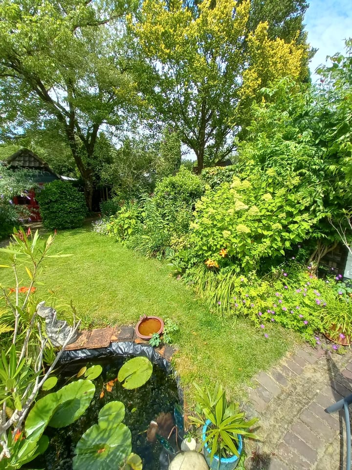 Foto 35 van Sterkenburgerlaan 32