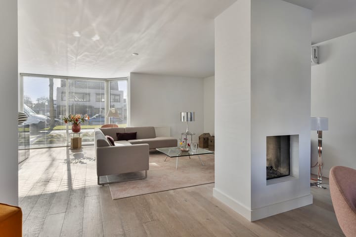 Foto 3 van Janssoniushof 10