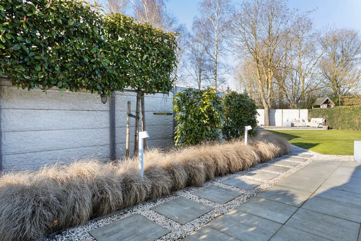 Foto 41 van Janssoniushof 10