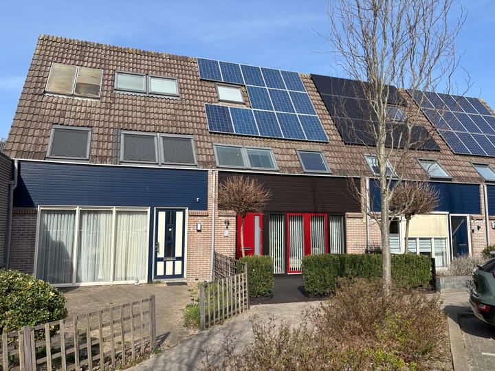 Foto 2 van Kleefkruid 3