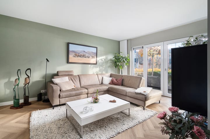 Foto 5 van Kleefkruid 3