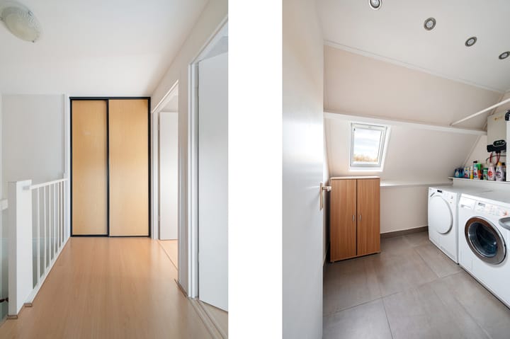 Foto 17 van Kleefkruid 3