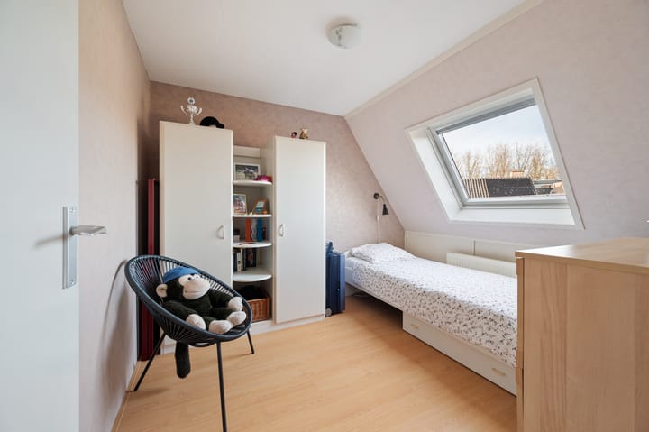 Foto 19 van Kleefkruid 3