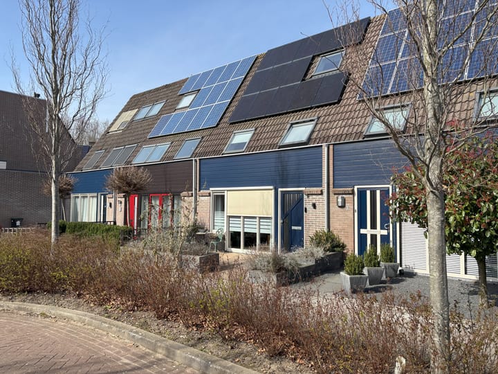 Foto 23 van Kleefkruid 3