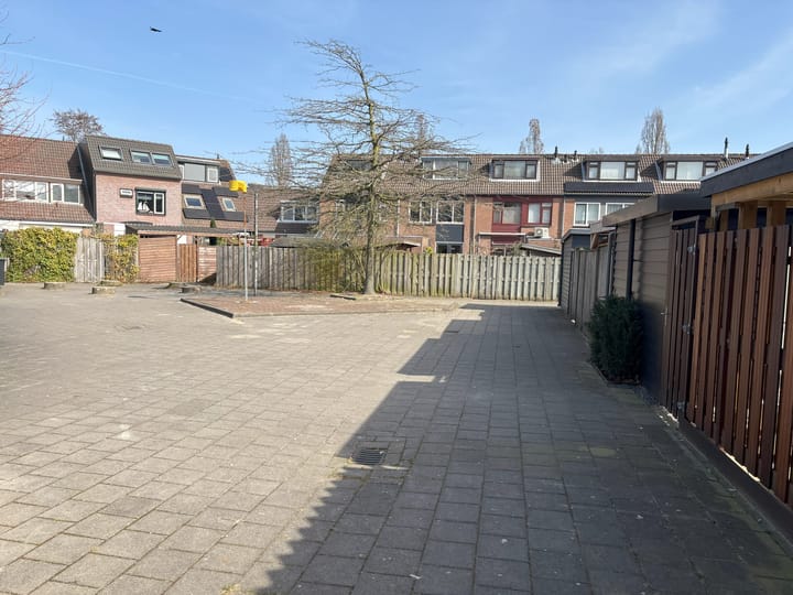 Foto 24 van Kleefkruid 3