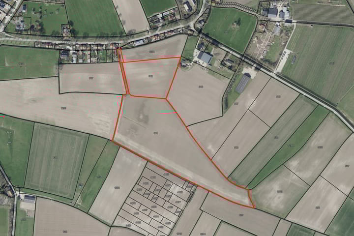 Rijsdijk -ONG