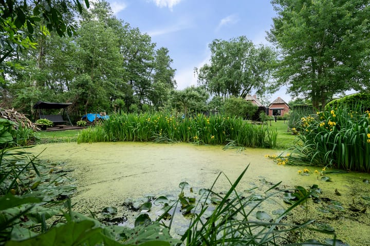 Foto 48 van Molenweg 37