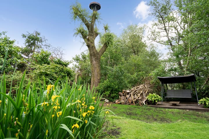 Foto 49 van Molenweg 37