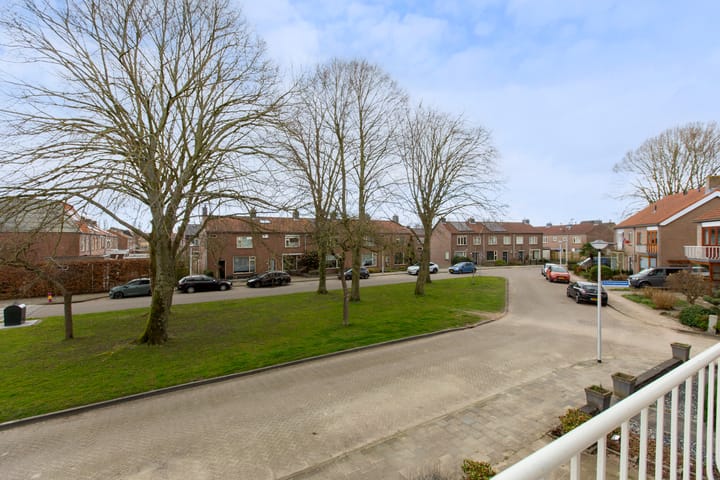 Foto 28 van Artesiaplantsoen 7