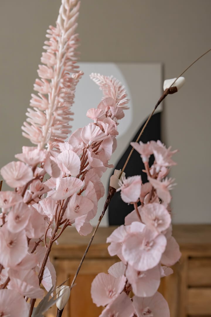 Foto 12 van Neptunusstraat 60