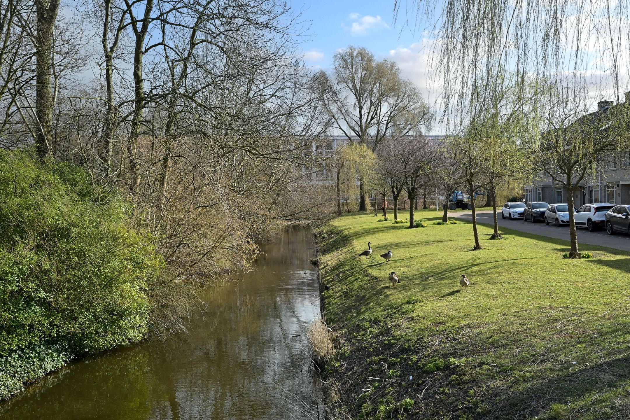 Foto 48 van Florence Nightingaleweg 80