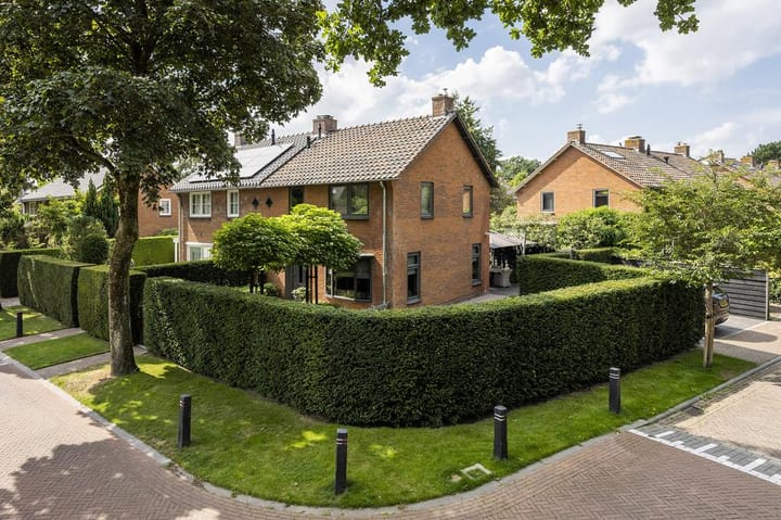 Foto 38 van Schapendrift 2-H