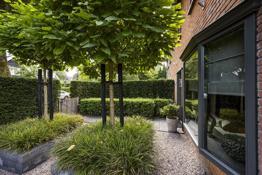 Foto 39 van Schapendrift 2-H