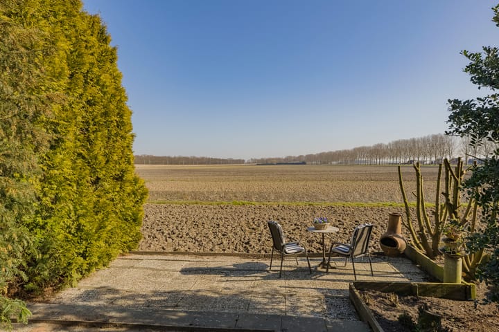 Photo 47 of Lisserdijk 25