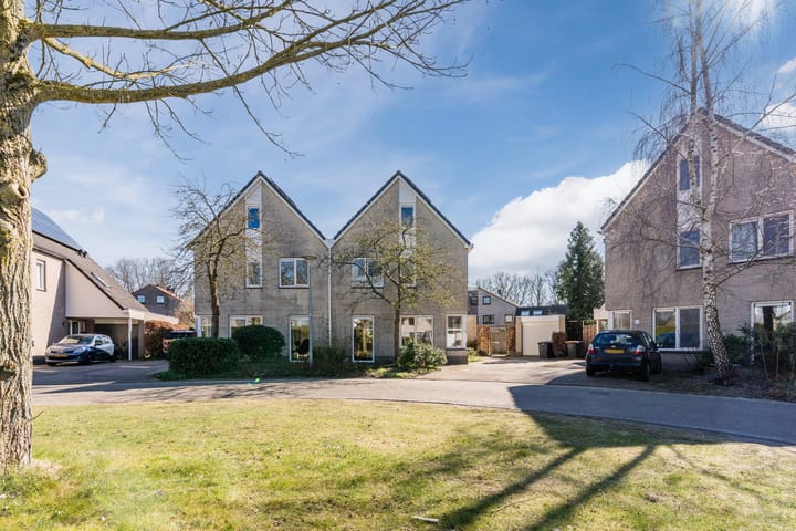 Foto 4 van Roggehullen 12