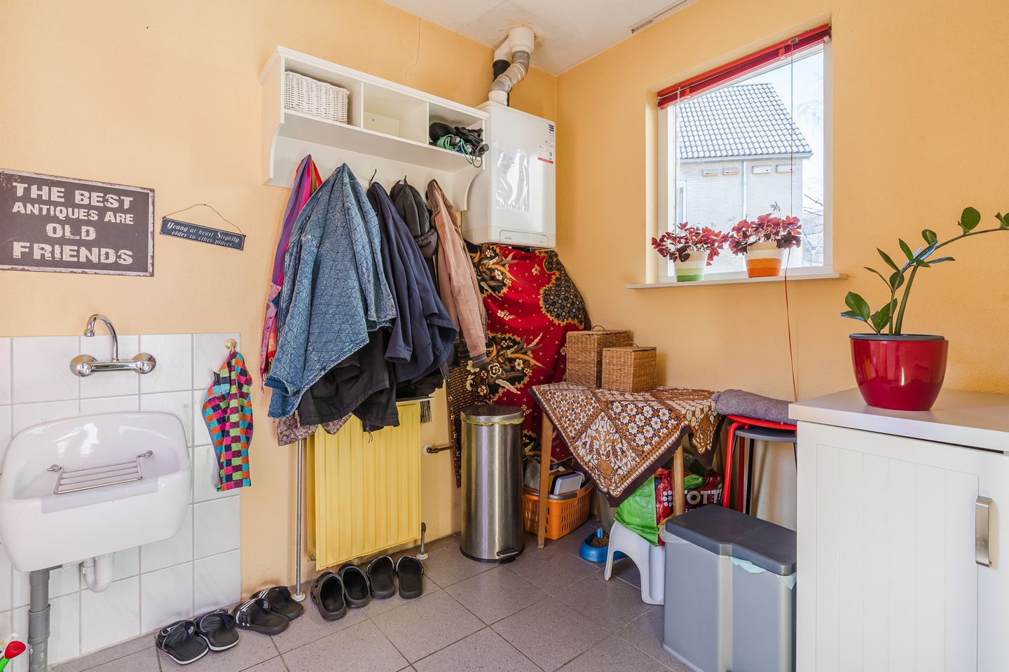 Foto 19 van Roggehullen 12