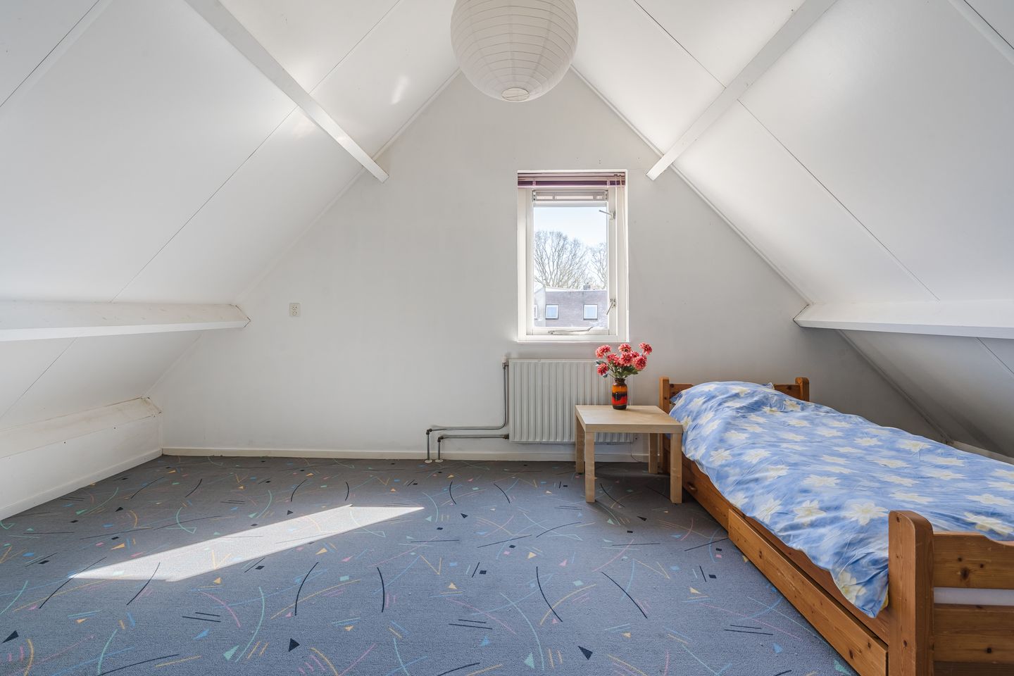 Foto 40 van Roggehullen 12