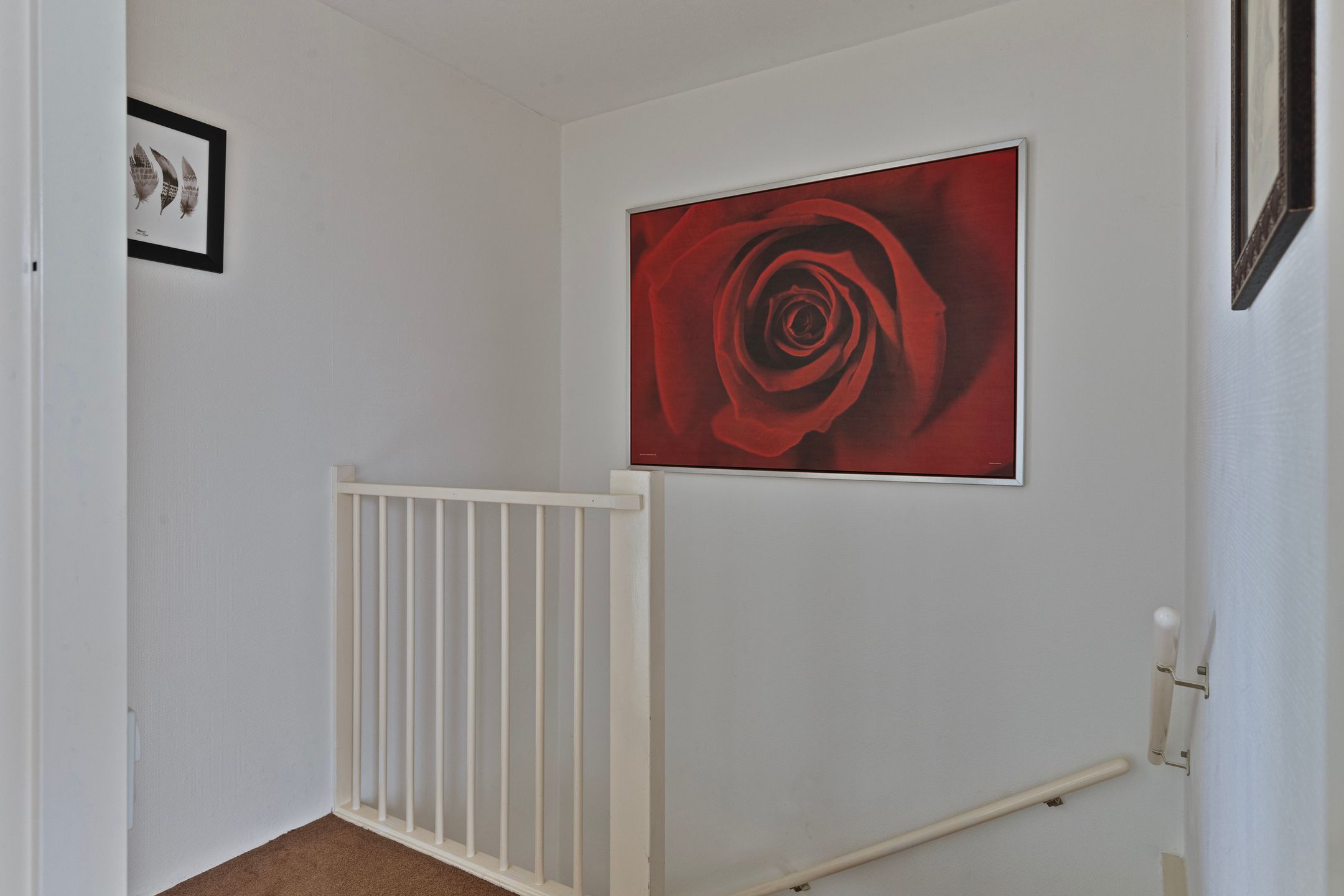 Foto 27 van Schout van Haestrechtsingel 98